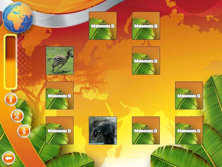 Wildlife Creative Studio PC Steam CD Key