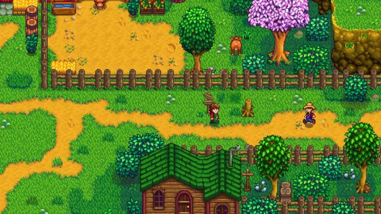 Stardew Valley Nintendo Switch Online Account Activation