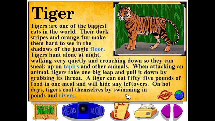 Let's Explore the Jungle (Junior Field Trips) Steam CD Key