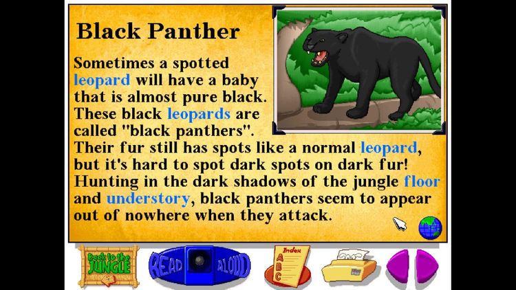 Let's Explore the Jungle (Junior Field Trips) Steam CD Key