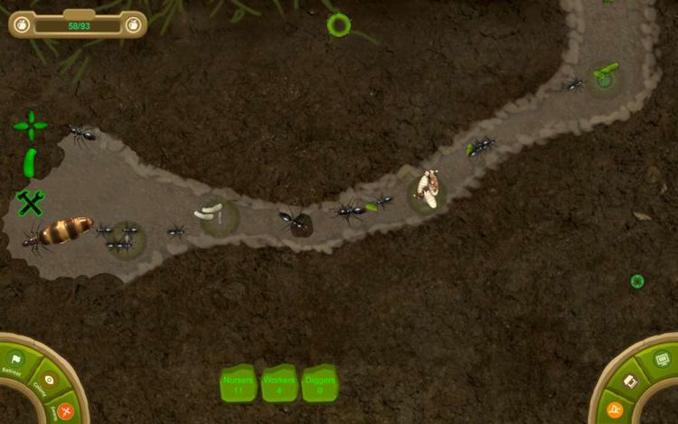Ant Queen Steam CD Key