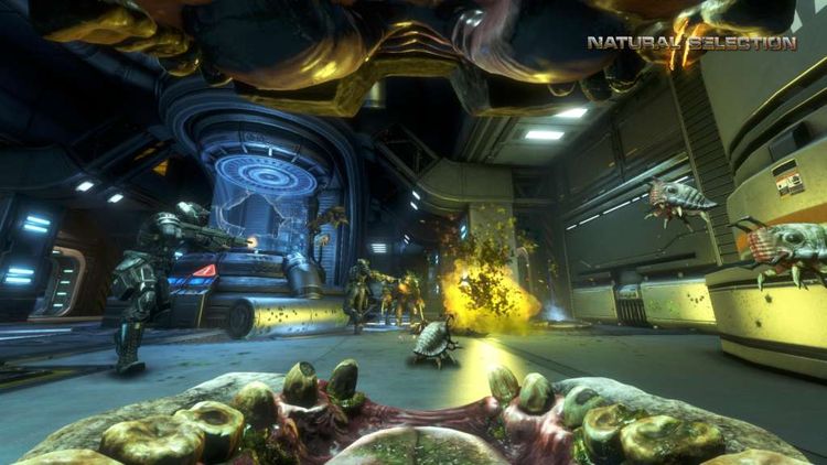 Natural Selection 2 Steam Gift