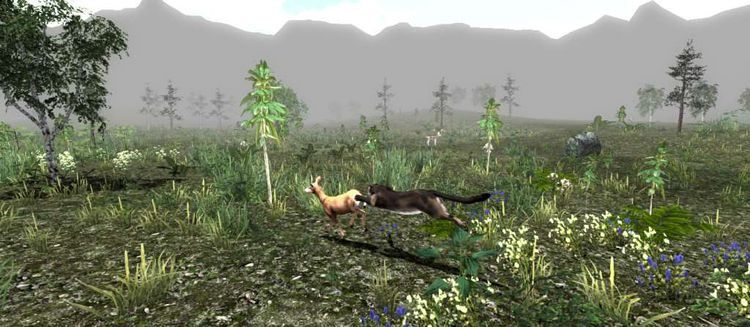 Untamed: Life of a Cougar Steam CD Key