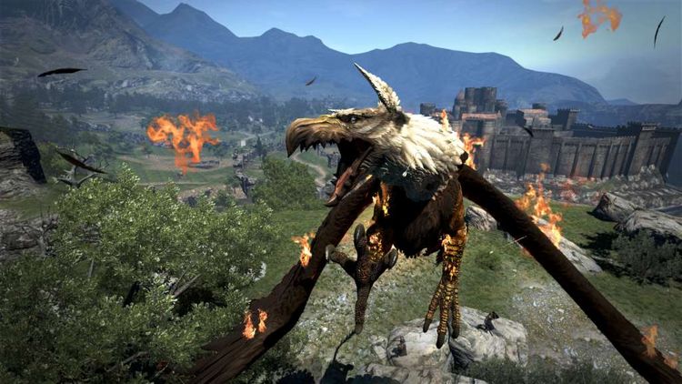 Dragon's Dogma: Dark Arisen EU Nintendo Switch CD Key