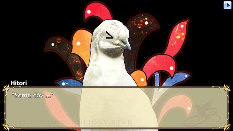 Hatoful Boyfriend: Holiday Star Steam CD Key