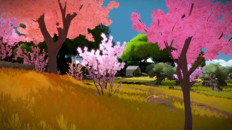 The Witness EU Steam CD Key