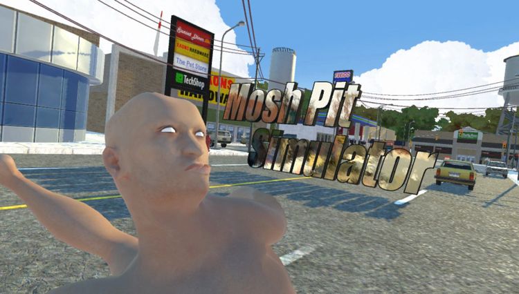 Mosh Pit Simulator VR Steam CD Key
