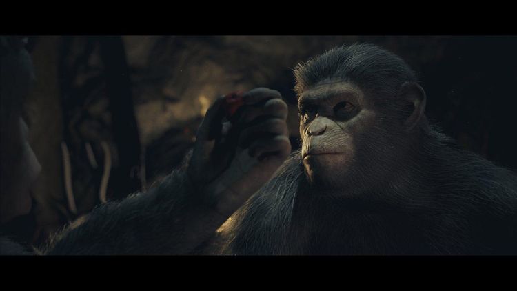 Planet of the Apes: Last Frontier - Team Ape Bundle US PS4 CD Key
