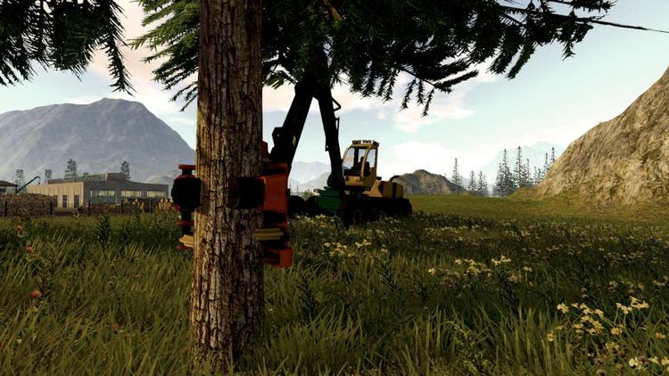 Forestry 2017: The Simulation Steam CD Key