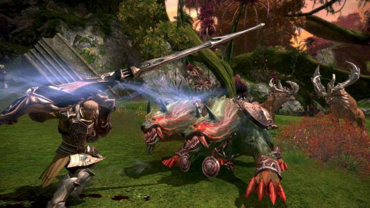 TERA: Founder’s Pack EU PS4 CD Key