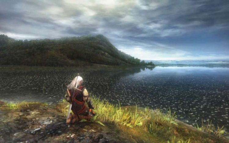 The Witcher: Enhanced Edition Director's Cut Steam Altergift