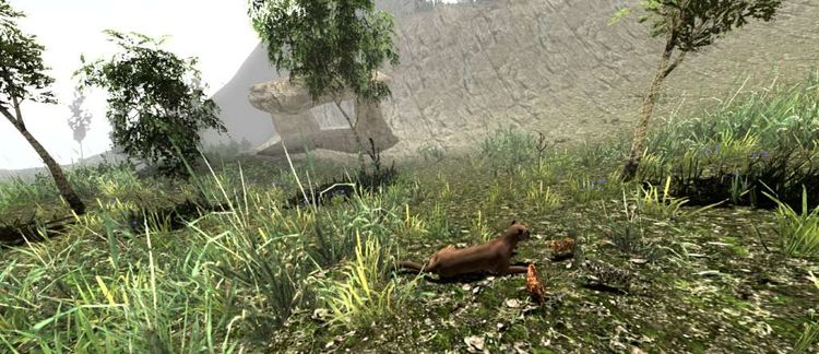 Untamed: Life of a Cougar Steam CD Key