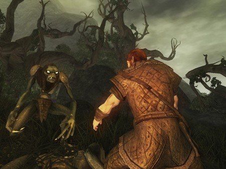 Risen PC Steam CD Key