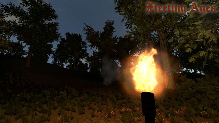 Fleeting Ages Steam CD Key