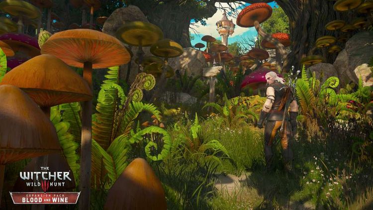 The Witcher 3: Wild Hunt - Blood and Wine DLC Steam Altergift
