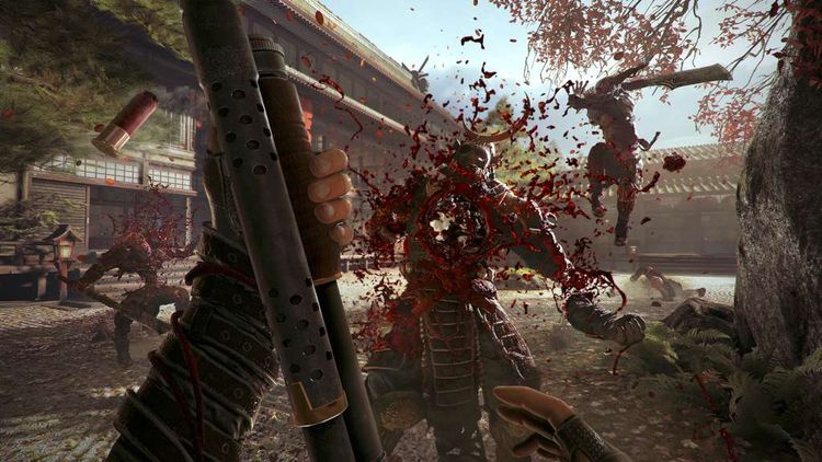 Shadow Warrior 2 - Solid Gold Pack DLC Steam Gift