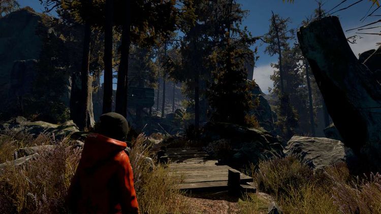 Through the Woods: Collector's Edition Steam CD Key