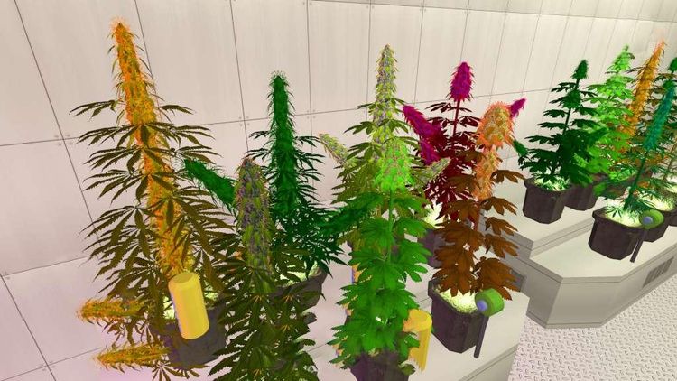 Weed Shop 2 Steam Altergift