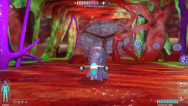 Placebo Effect Steam CD Key