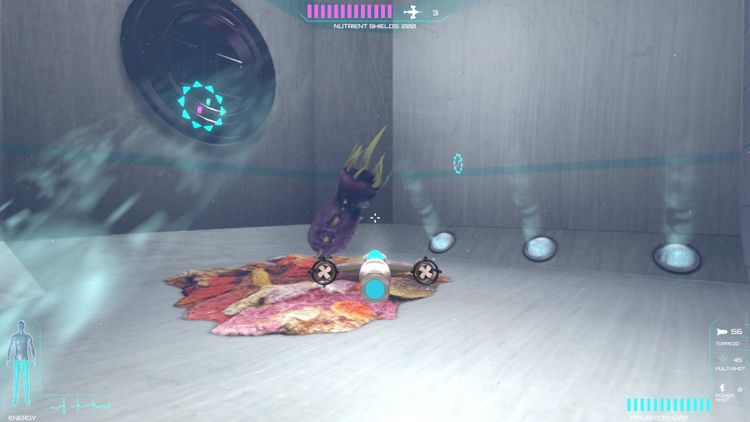 Placebo Effect Steam CD Key