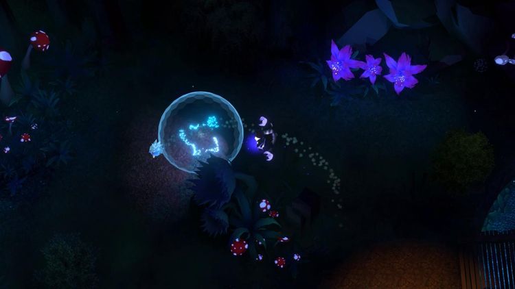 Hunt 'n Sneak Steam CD Key