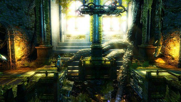 Frozenbyte Complete Collection Steam Gift