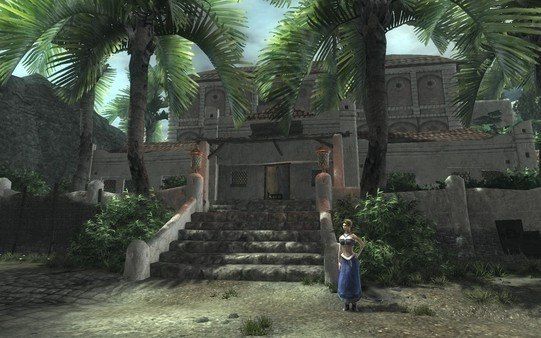 Risen PC Steam CD Key