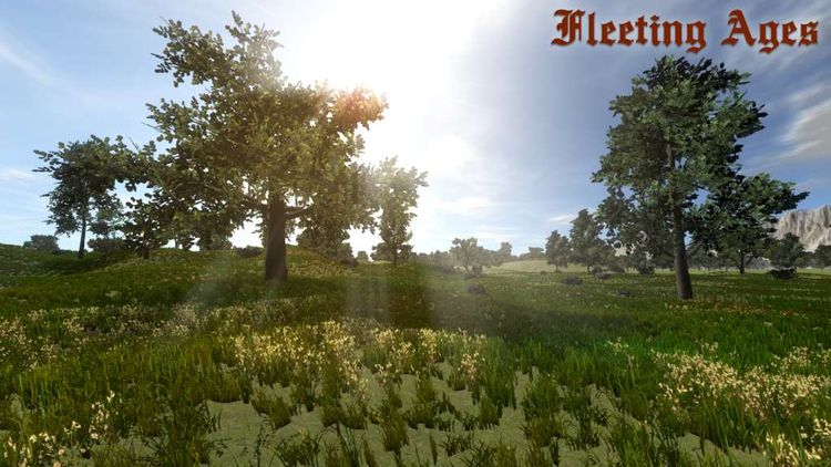 Fleeting Ages Steam CD Key