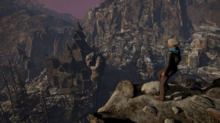 Through the Woods: Collector's Edition Steam CD Key