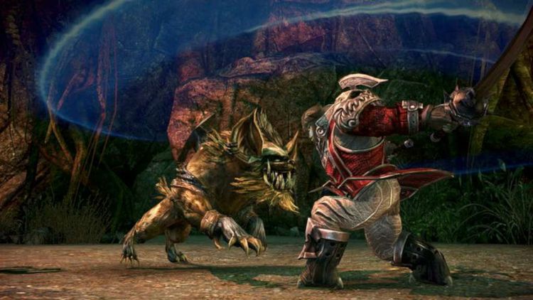 TERA: Founder’s Pack EU PS4 CD Key