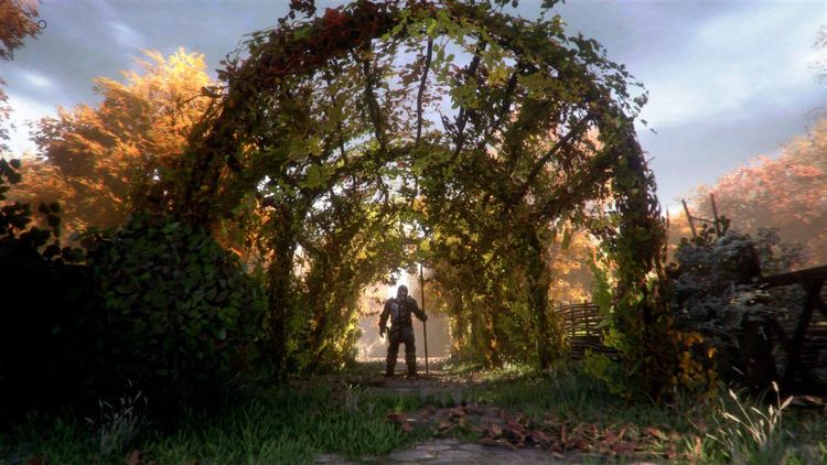 A Plague Tale: Innocence Steam Account