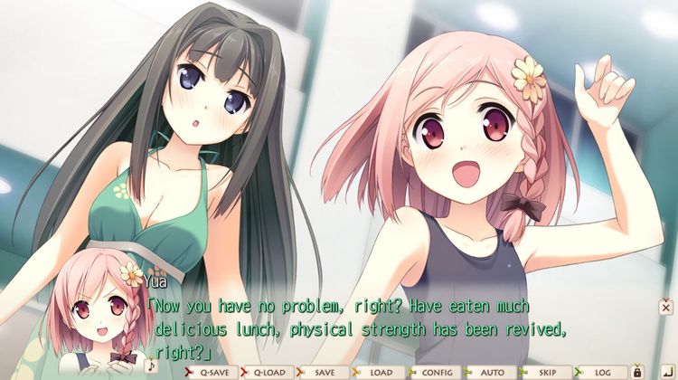 your diary+ Steam CD Key