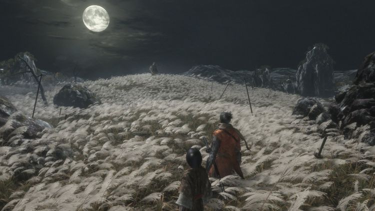 Sekiro: Shadows Die Twice MEA Steam CD Key
