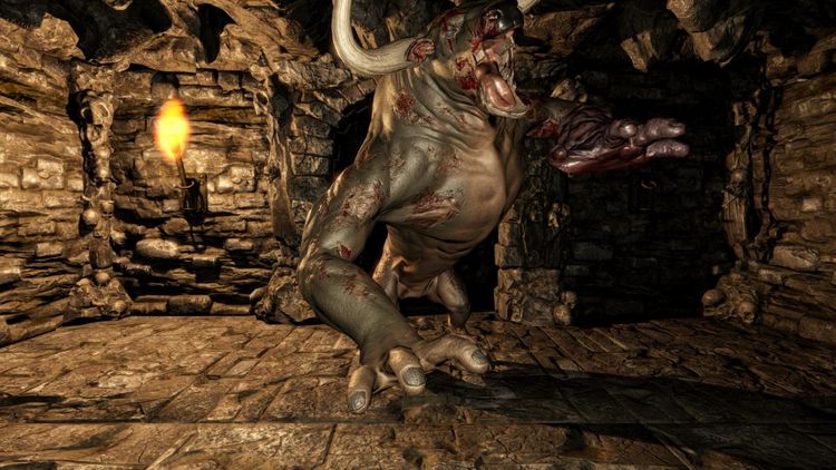 Dungeon Not Alone Bundle PC Steam Account