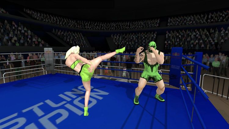 Wrestlers Without Boundaries Steam CD Key