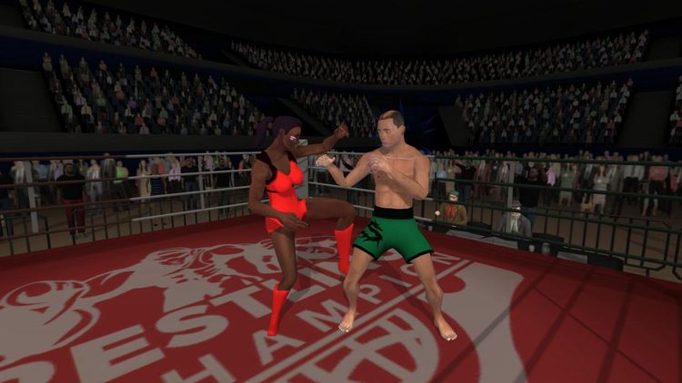 Wrestlers Without Boundaries Steam CD Key