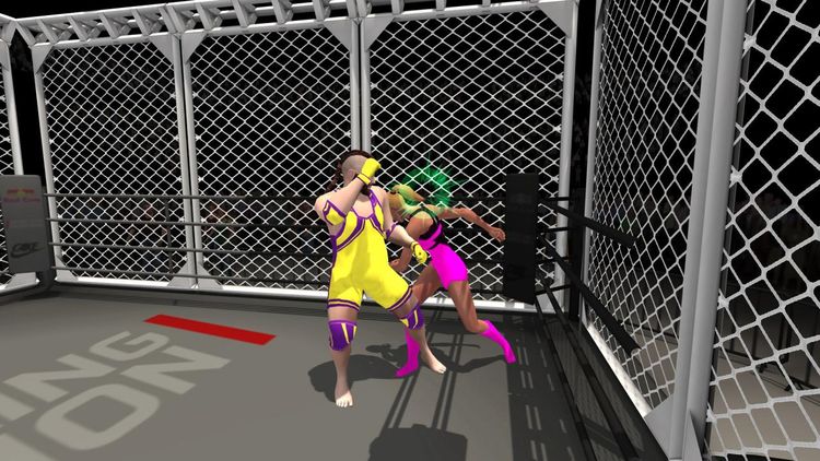 Wrestlers Without Boundaries Steam CD Key