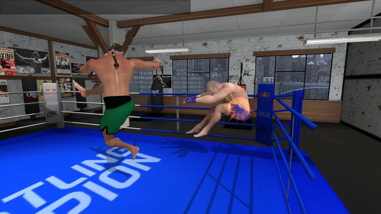 Wrestlers Without Boundaries Steam CD Key