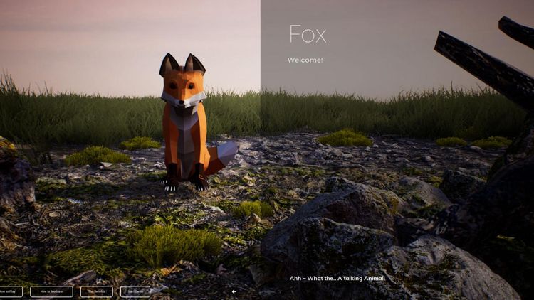 PLAYNE : The Meditation Game Steam CD Key