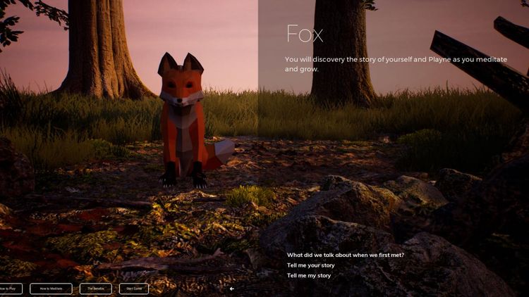 PLAYNE : The Meditation Game Steam CD Key