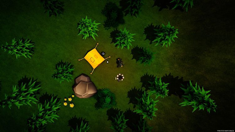 Top Down Survivor Steam CD Key