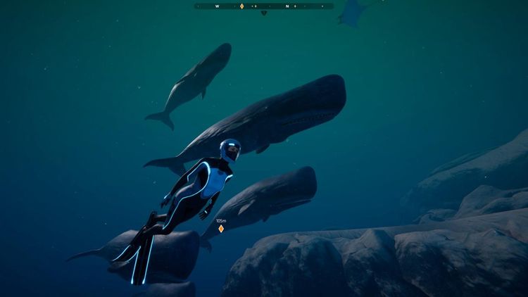 Beyond Blue EU Steam CD Key