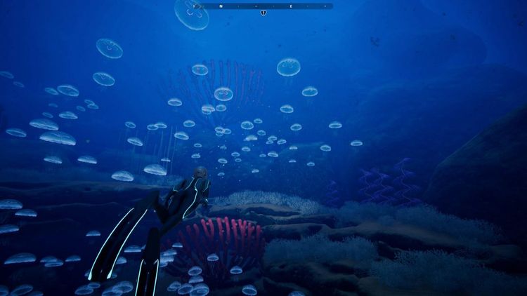Beyond Blue EU Steam CD Key