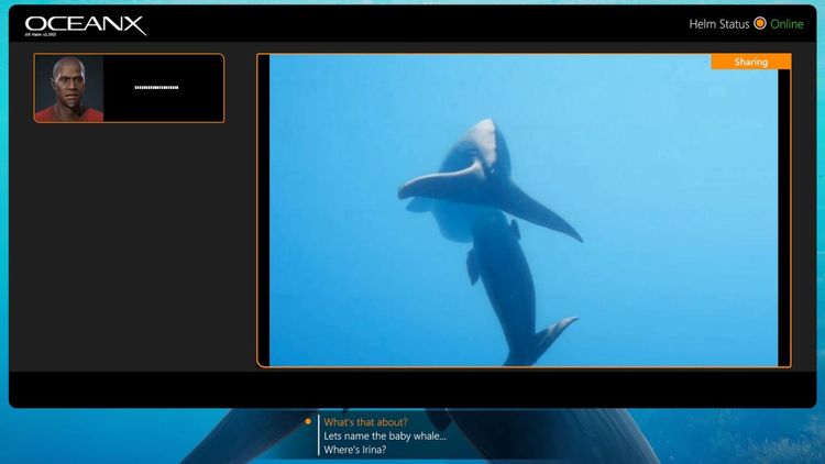 Beyond Blue EU Steam CD Key