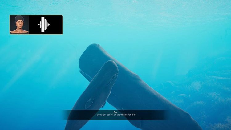 Beyond Blue Steam Altergift