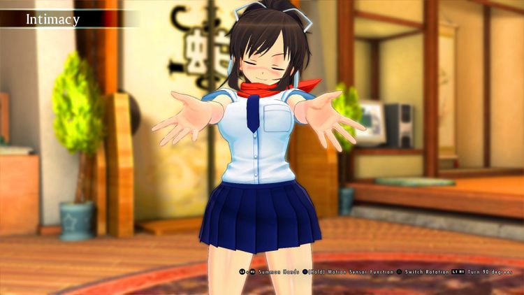 SENRAN KAGURA Burst Re:Newal Steam CD Key