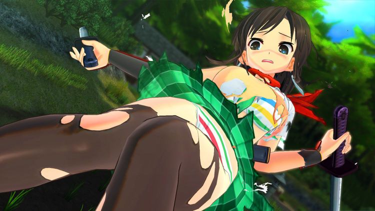 SENRAN KAGURA Burst Re:Newal Steam CD Key