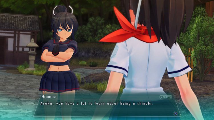 SENRAN KAGURA Burst Re:Newal Steam CD Key