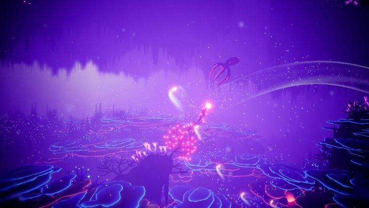 Koral PC Steam CD Key