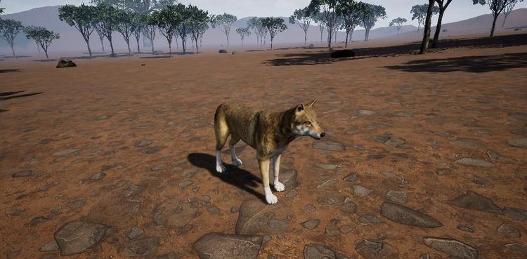 Outback Survival Steam CD Key